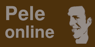 Peter Leutner Online logo